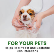 Aroma Paws Rosemary Tea Tree Dog Shampoo & Conditioner – 1 Gallon