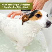 Aroma Paws Ultra Sensitive Olive Oil Pet Shampoo & Conditioner – 1 Gallon for Sensitive Skin