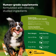 Turmeric - Pristine Pet Supply