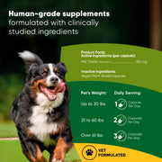 Liver Support - Pristine Pet Supply