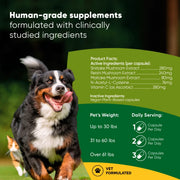Mushroom Immune Support - Pristine Pet Supply