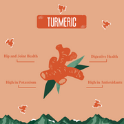 Yak9 Chews Turmeric Yak Milk Chews for Dogs
