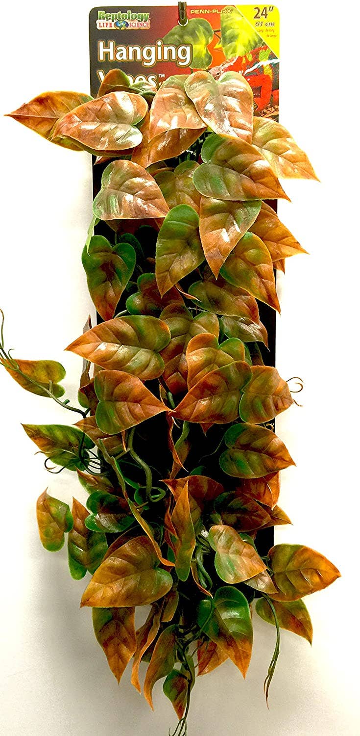 Reptology Decorative Hanging Plant Vines – Green & Orange