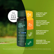 Rooted Owl Joint & Muscle Health Pet Supplement - Pristine Pet Supply