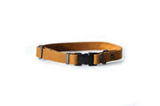 Euro-Dog Sport Style Leather Dog Collar