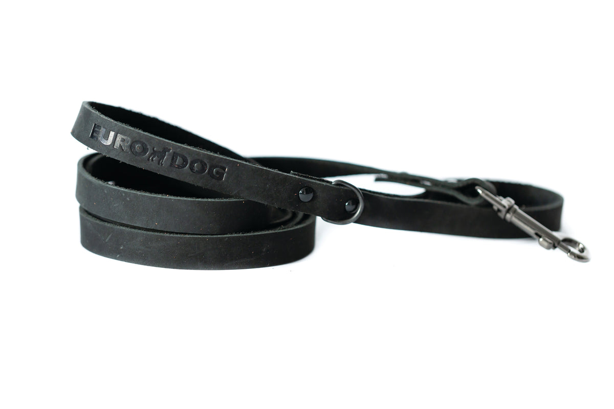 Euro-Dog Sport Style Leather Dog Leash