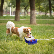 Multifunctional Automatic Dog Water Fountain – Step-On Outdoor Pet Sprinkler & Drinking Fountain