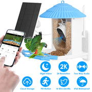 Solar Powered Smart Bird Feeder with 2K WiFi Camera & AI Bird Recognition