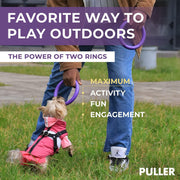 Dog Ring Fetch & Tug Toy – Mini, 2 Rings, Purple