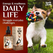 Hemp Oil for Dogs & Cats – Skin, Coat & Joint Support
