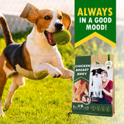 Beloved Pets Chicken Breast Jerky Dog Treats – 10.6 oz