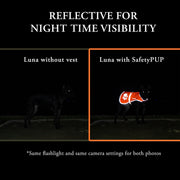 SafetyPUP XD Hi-Visibility Reflective Dog Vest – Orange, Medium