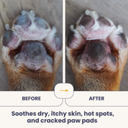 100% Organic Virgin Coconut Oil for Dogs & Cats - Pristine Pet Supply