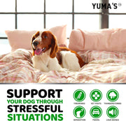 Yuma's Hemp Calming Soft Chews for Dogs – 240 Count