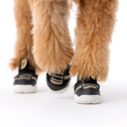 The Kai Dog Sneaker