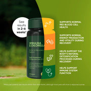 Spirulina & Chlorella - Pristine Pet Supply