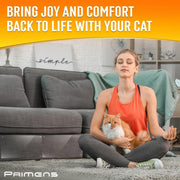 Cat Scratch Furniture Protectors – 10 XL Sheets