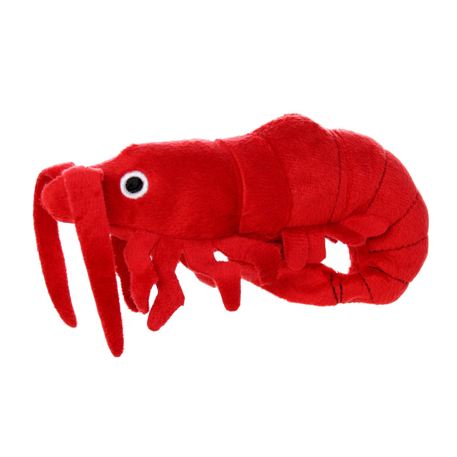 Mighty Jr Ocean Prawn, Plush, Squeaky Dog Toy by Mighty - dog toy