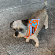 Reflective Dog Bandana – Hi-Vis Orange, Small