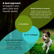 Rooted Owl Joint & Muscle Health Pet Supplement - Pristine Pet Supply