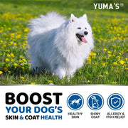 Omega-3 Fish Oil Soft Chews for Dogs – 170 Count