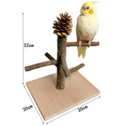 Solid Wood Bird Perch & Training Shelf – Natural Parrot Play Station