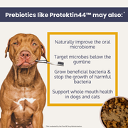 Dental Health Topper for Dogs – with Protektin44™ Prebiotics - Pristine Pet Supply