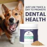 Dental Health Topper for Dogs – with Protektin44™ Prebiotics - Pristine Pet Supply