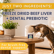 Dental Health Topper for Dogs – with Protektin44™ Prebiotics - Pristine Pet Supply