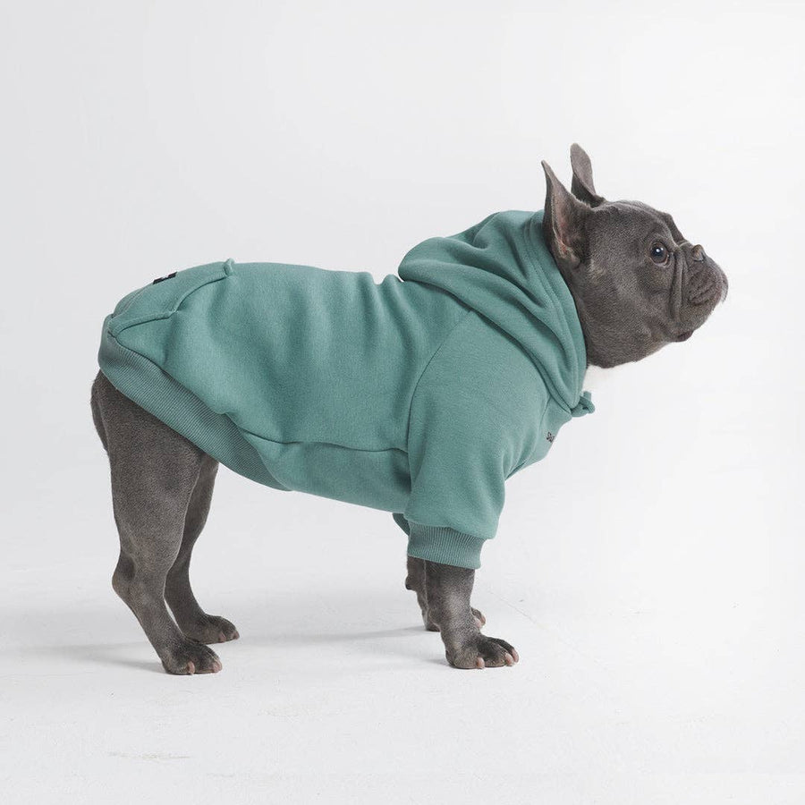 Spark Paws Essential Dog Hoodie – Teal