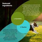 Cardio Support - Pristine Pet Supply