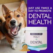 Complete Dental Health Bundle – Dental Topper + Salmon Skin Chews - Pristine Pet Supply
