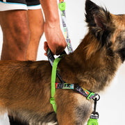Manifesto | SofterWalk Harness