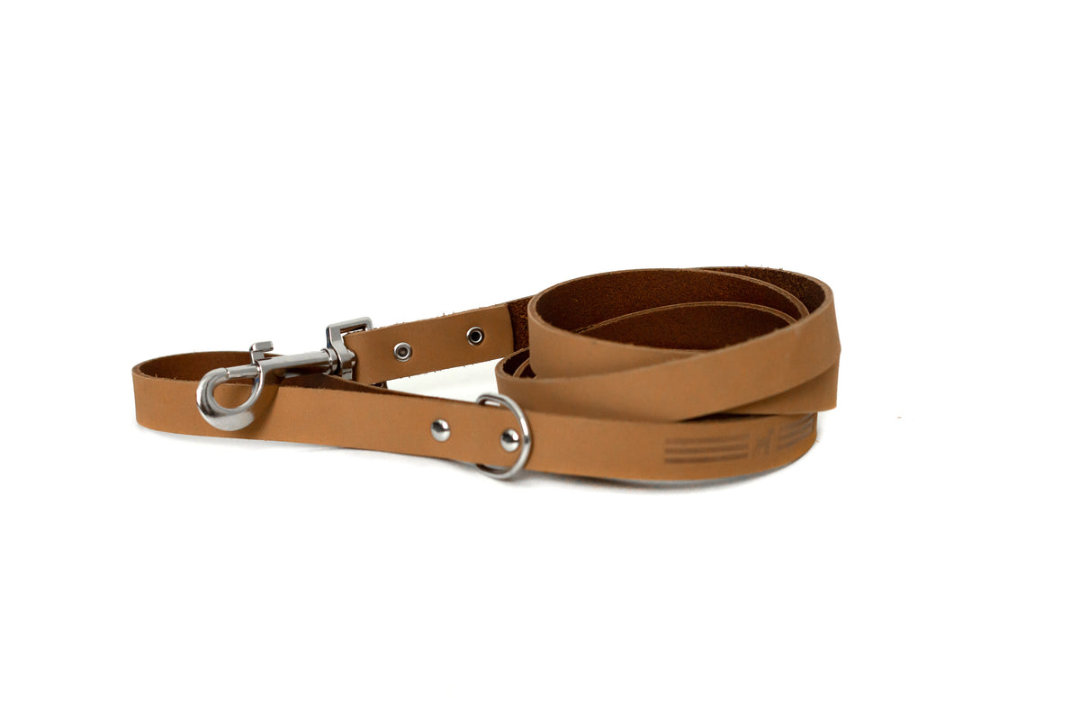 Euro-Dog Modern Style Leather Dog Leash
