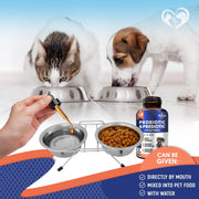 Beloved Pets Dog & Cat Probiotic + Prebiotic with Digestive Enzymes