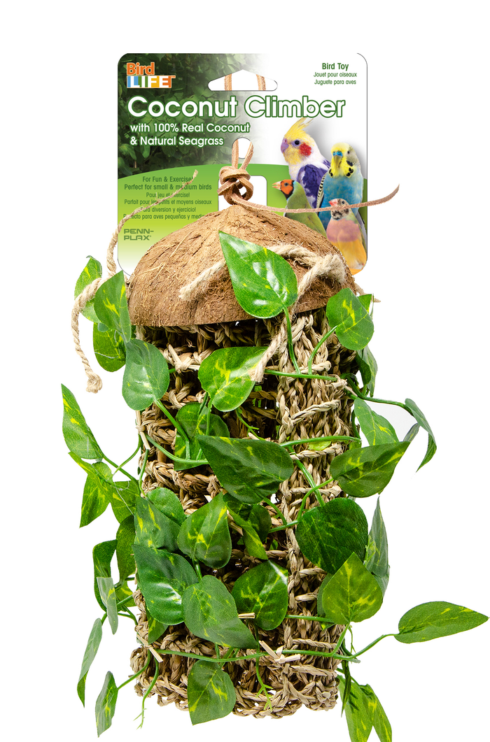 Reptology Lizard Lounger Coconut Climber with Vines