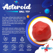 Asteroid Ultra Durable Rubber Dog Chew Toy – Large | Made in USA | Tough Natural Rubber for Aggressive Chewers