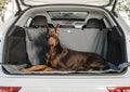 GF Pet Waterproof Pet Cargo Cover – Vehicle Trunk & SUV Seat Protector