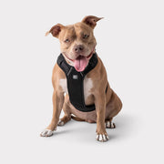 GF Pet Travel Dog Harness – Adjustable No-Choke Safety Harness
