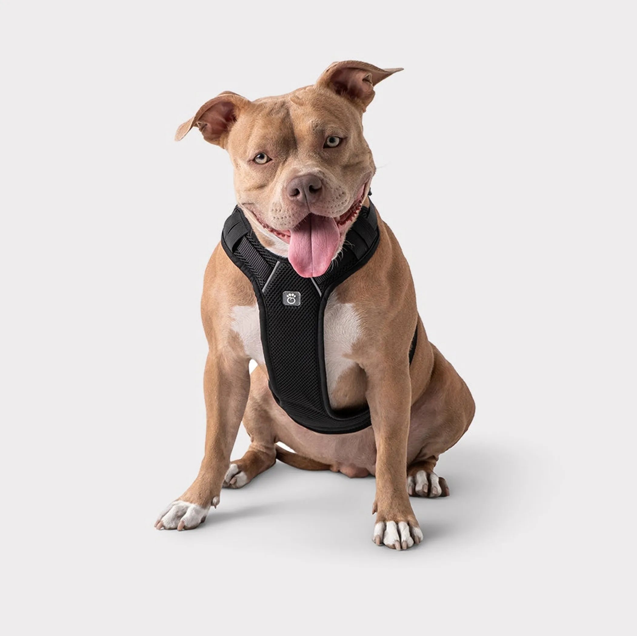GF Pet Travel Dog Harness – Adjustable No-Choke Safety Harness