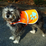 SafetyPUP XD Reflective Dog Vest, Orange – Small