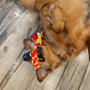 Interactive Tug & Treat-Dispenser Toy for Dogs – Orange
