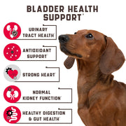 Cranberry Chews for Dogs 180 Count Urinary Tract Support