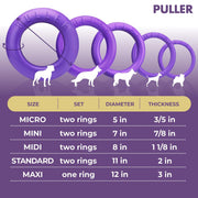Dog Ring Fetch & Tug Toy – Large, Purple
