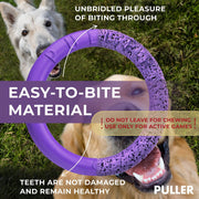 Dog Ring Fetch Toy Large Dogs Standard Size 2 Rings