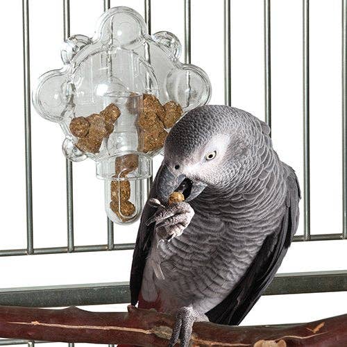 Featherland Paradise Food Tumbler Bird Toy by Featherland Paradise - bird treat