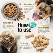 Hemp Oil for Dogs & Cats – 2-Pack