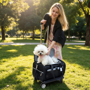 Mr. Peanut's Gold Series Expandable V3.0 Airline Pet Carrier