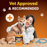 Pumpkin Powder for Dogs – Digestive Fiber Supplement, 8 oz