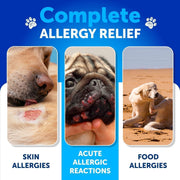 Artullano Dog Skin & Coat Soft Chews with Omega-3 Fish Oil